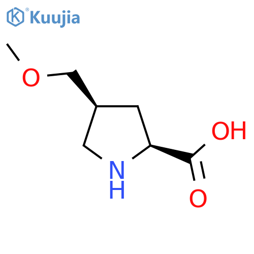 (2S,4S)-4-(methoxymethyl)pyrrolidine-2-carboxylic acid structure