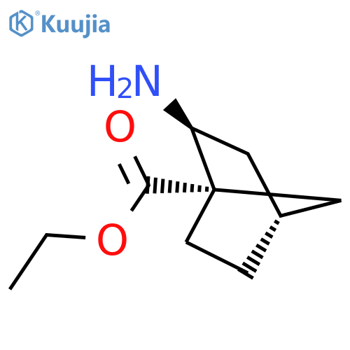 rac-ethyl (1R,2R,4R)-2-aminobicyclo2.2.1heptane-1-carboxylate structure