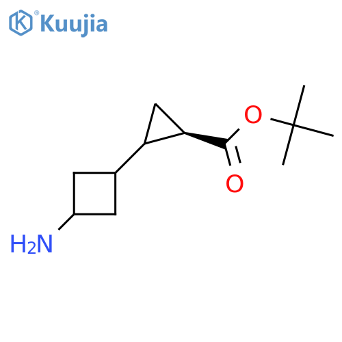 rac-tert-butyl (1S)-2-(1r,3r)-3-aminocyclobutylcyclopropane-1-carboxylate structure