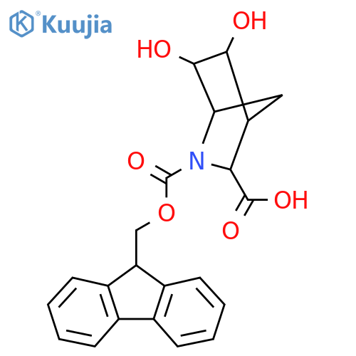 2-{(9H-fluoren-9-yl)methoxycarbonyl}-5,6-dihydroxy-2-azabicyclo2.2.1heptane-3-carboxylic acid structure
