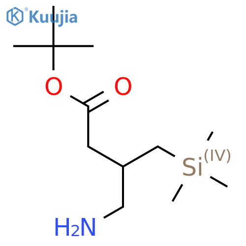 tert-butyl 4-amino-3-(trimethylsilyl)methylbutanoate structure