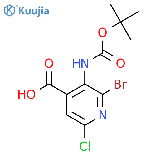 2-bromo-3-{(tert-butoxy)carbonylamino}-6-chloropyridine-4-carboxylic acid structure