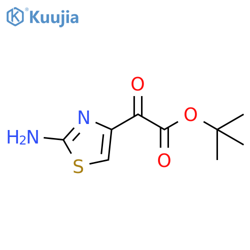 tert-butyl 2-(2-amino-1,3-thiazol-4-yl)-2-oxoacetate structure