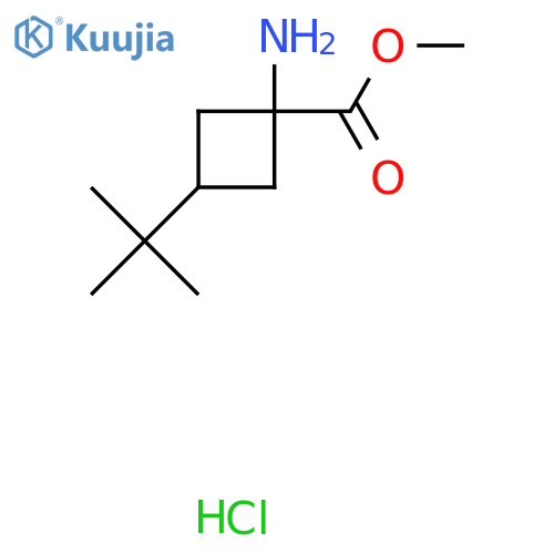 methyl 1-amino-3-tert-butylcyclobutane-1-carboxylate hydrochloride, Mixture of diastereomers structure