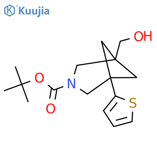 tert-butyl 1-(hydroxymethyl)-5-(thiophen-2-yl)-3-azabicyclo3.1.1heptane-3-carboxylate structure