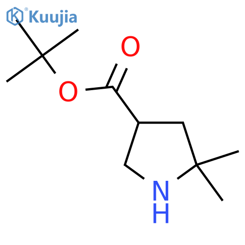 Tert-butyl 5,5-dimethylpyrrolidine-3-carboxylate structure