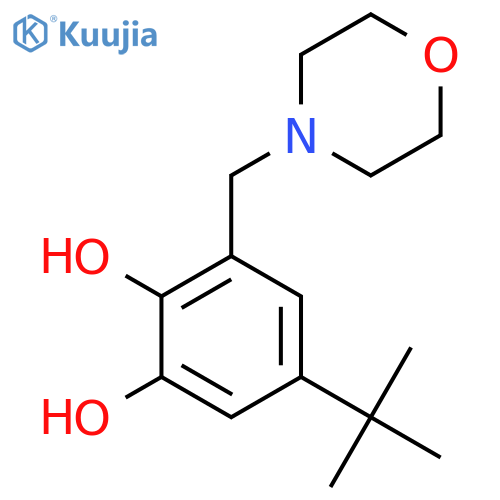 5-(Tert-butyl)-3-(morpholinomethyl)benzene-1,2-diol structure