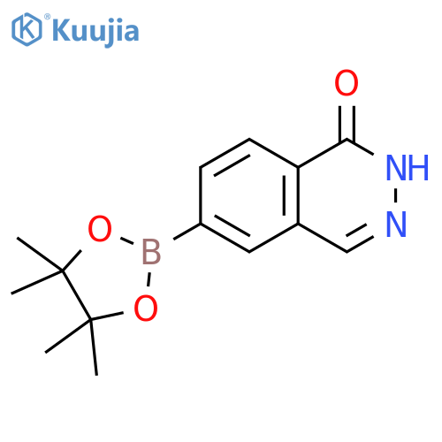 6-(4,4,5,5-tetramethyl-1,3,2-dioxaborolan-2-yl)-1,2-dihydrophthalazin-1-one structure