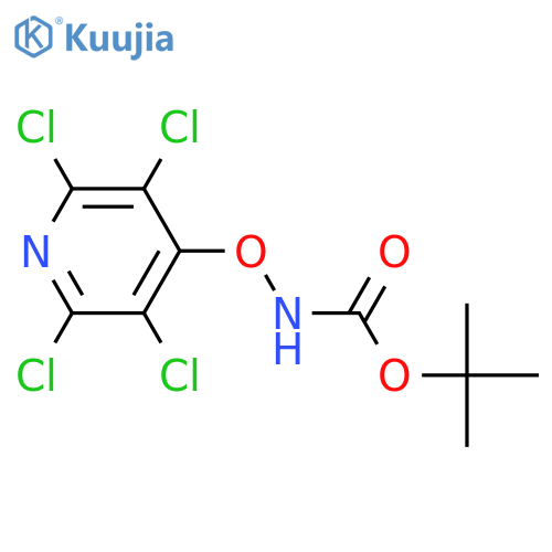 INDEX NAME NOT YET ASSIGNED structure