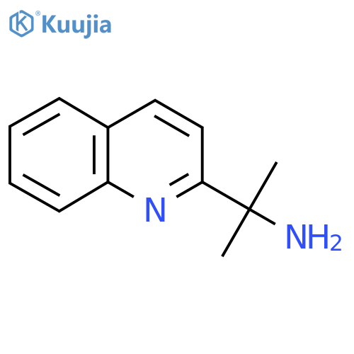 2-(quinolin-2-yl)propan-2-amine structure