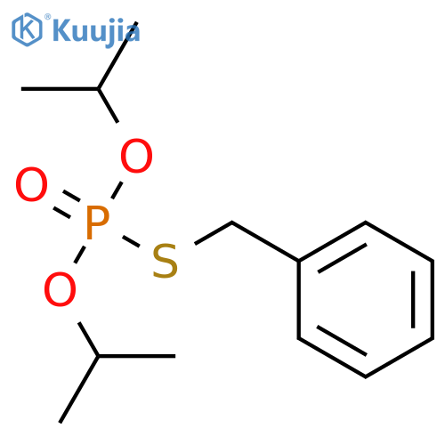 IBP Standard structure