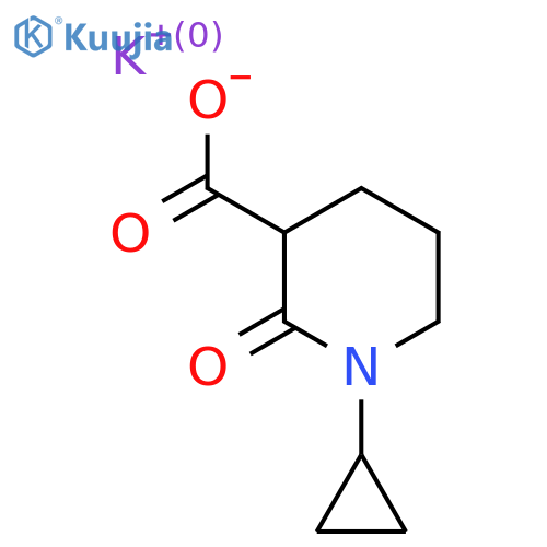 Potassium 1-cyclopropyl-2-oxopiperidine-3-carboxylate structure