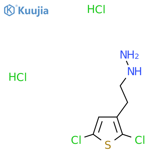 2-(2,5-dichlorothiophen-3-yl)ethylhydrazine dihydrochloride structure