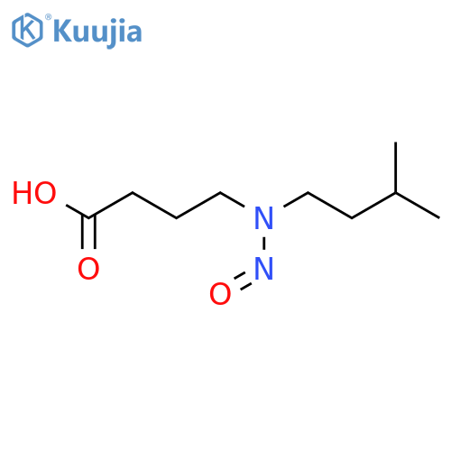 4-(3-methylbutyl)(nitroso)aminobutanoic acid structure