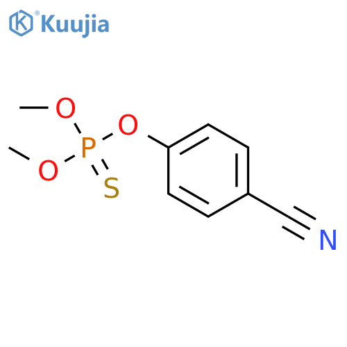 CYAP Standard structure