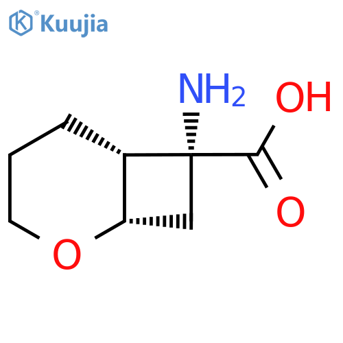 rac-(1R,6S,7S)-7-amino-2-oxabicyclo4.2.0octane-7-carboxylic acid structure