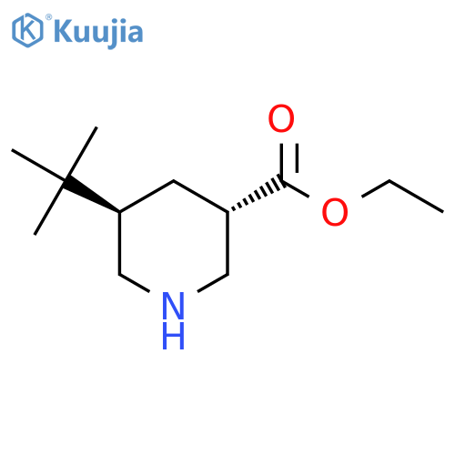 rac-ethyl (3R,5S)-5-tert-butylpiperidine-3-carboxylate structure