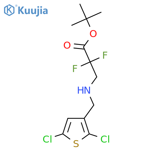 tert-butyl 3-{(2,5-dichlorothiophen-3-yl)methylamino}-2,2-difluoropropanoate structure