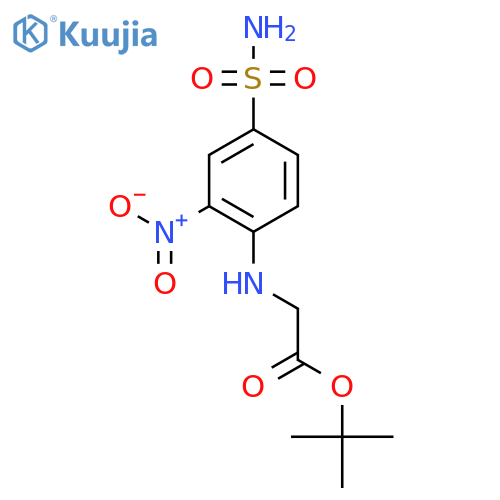 tert-butyl 2-(2-nitro-4-sulfamoylphenyl)aminoacetate structure