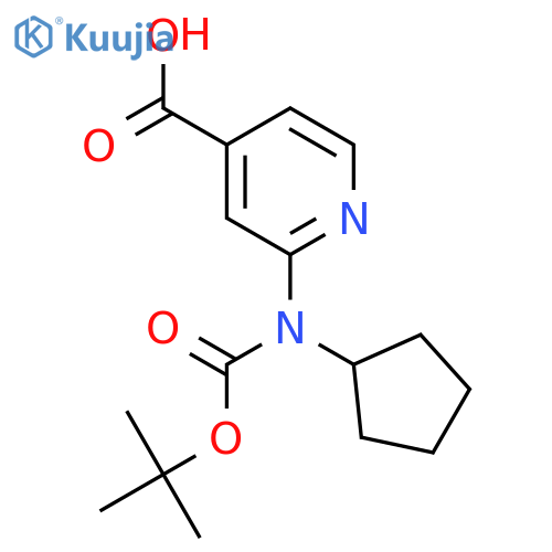 2-{(tert-butoxy)carbonyl(cyclopentyl)amino}pyridine-4-carboxylic acid structure