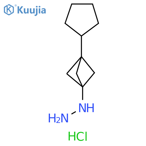 {3-cyclopentylbicyclo[1.1.1]pentan-1-yl}hydrazine hydrochloride structure