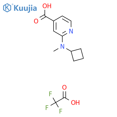 2-[Cyclobutyl(methyl)amino]pyridine-4-carboxylic acid; trifluoroacetic acid structure