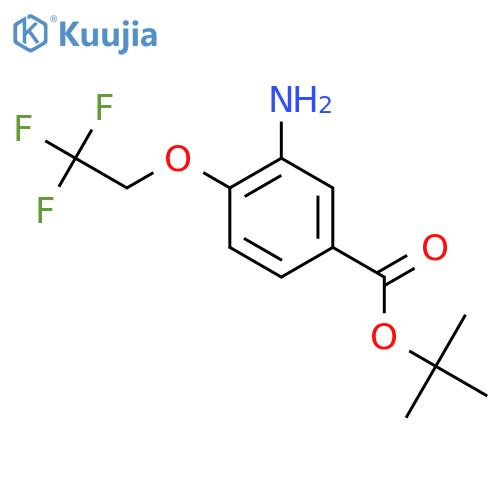 Tert-butyl 3-amino-4-(2,2,2-trifluoroethoxy)benzoate structure