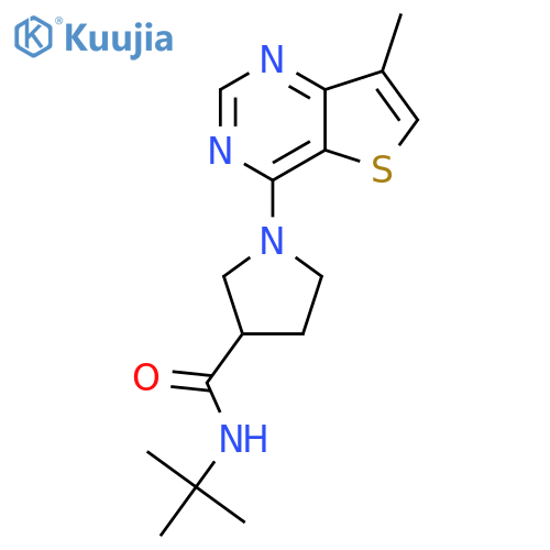 N-tert-butyl-1-{7-methylthieno[3,2-d]pyrimidin-4-yl}pyrrolidine-3-carboxamide structure