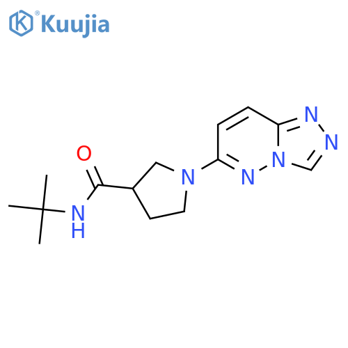 N-tert-butyl-1-{[1,2,4]triazolo[4,3-b]pyridazin-6-yl}pyrrolidine-3-carboxamide structure