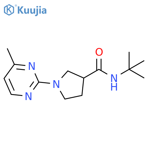 N-tert-butyl-1-(4-methylpyrimidin-2-yl)pyrrolidine-3-carboxamide structure