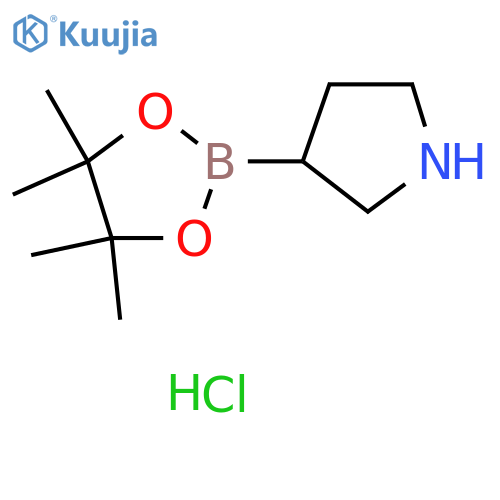 3-(4,4,5,5-tetramethyl-1,3,2-dioxaborolan-2-yl)pyrrolidine hydrochloride structure