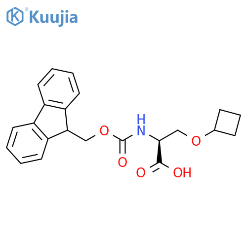 N-Fmoc-L-Ser(Cyclobutyl)-OH structure