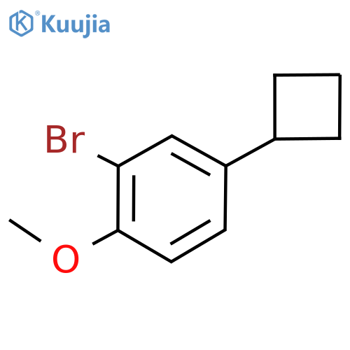 Benzene, 2-bromo-4-cyclobutyl-1-methoxy- structure