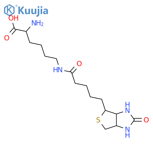 (2S)-6-[5-[(3aS,4S,6aR)-2-oxo-1,3,3a,4,6,6a-hexahydrothieno[3,4-d]imidazol-4-yl]pentanoylamino]-2-aminohexanoic acid structure