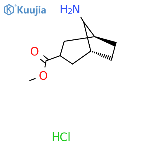 methyl (1R,3R,5S)-8-aminobicyclo3.2.1octane-3-carboxylate hydrochloride, exo structure