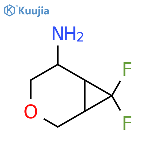7,7-difluoro-3-oxabicyclo4.1.0heptan-5-amine structure