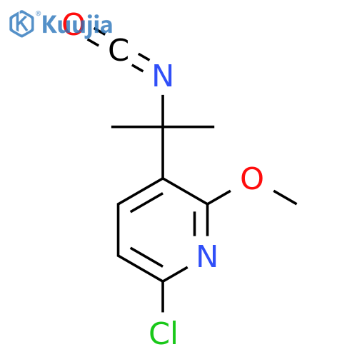 6-chloro-3-(2-isocyanatopropan-2-yl)-2-methoxypyridine structure