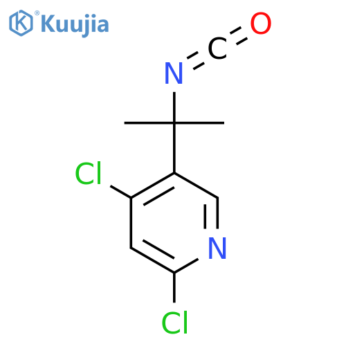 2,4-dichloro-5-(2-isocyanatopropan-2-yl)pyridine structure