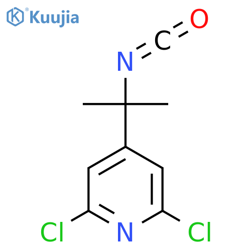 2,6-dichloro-4-(2-isocyanatopropan-2-yl)pyridine structure