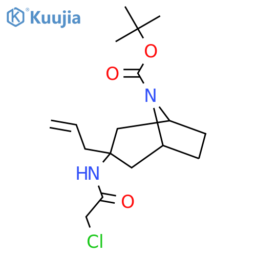 tert-butyl 3-(2-chloroacetamido)-3-(prop-2-en-1-yl)-8-azabicyclo3.2.1octane-8-carboxylate structure