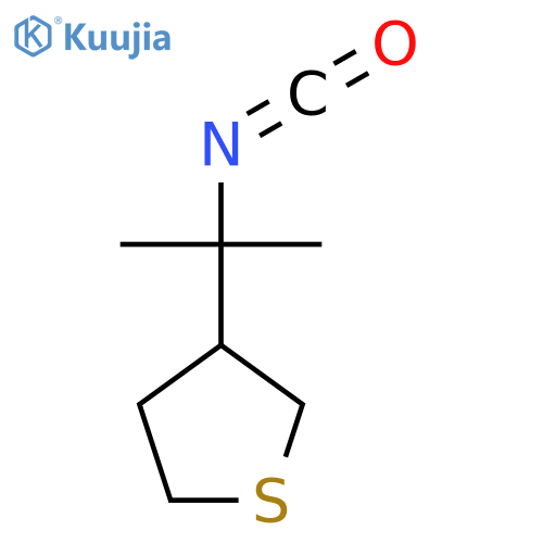 3-(2-isocyanatopropan-2-yl)thiolane structure