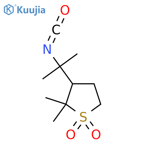 3-(2-Isocyanatopropan-2-yl)-2,2-dimethyl-1lambda6-thiolane-1,1-dione structure