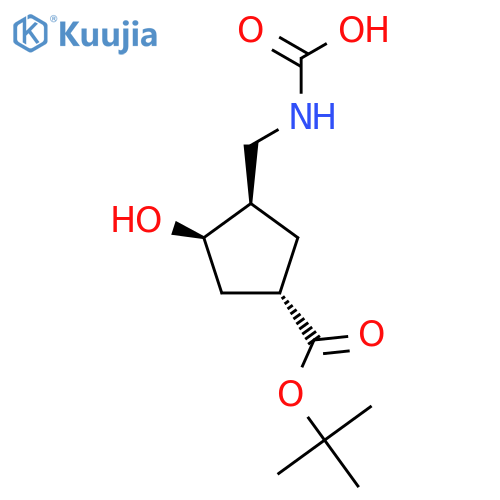rac-{(1R,2R,4S)-4-(tert-butoxy)carbonyl-2-hydroxycyclopentylmethyl}carbamic acid structure
