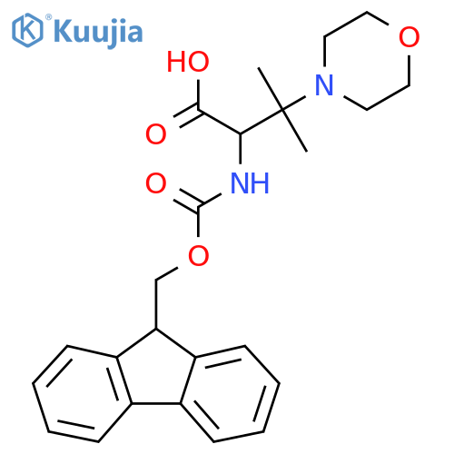 2-({(9H-fluoren-9-yl)methoxycarbonyl}amino)-3-methyl-3-(morpholin-4-yl)butanoic acid structure