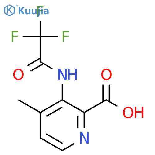4-Methyl-3-(2,2,2-trifluoroacetamido)pyridine-2-carboxylic acid structure