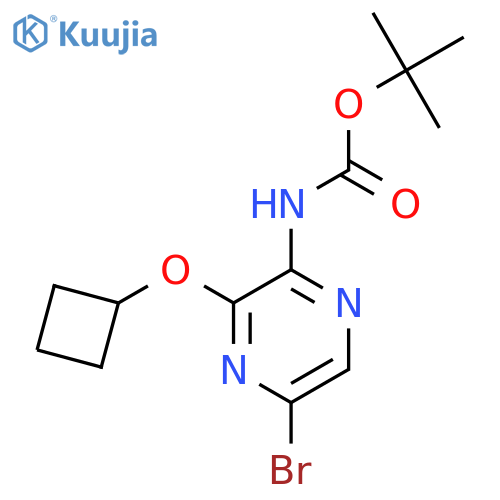 tert-butyl N-(5-bromo-3-cyclobutoxypyrazin-2-yl)carbamate structure
