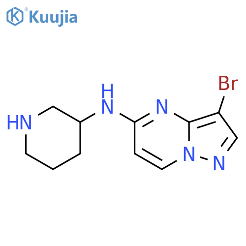 N-{3-bromopyrazolo1,5-apyrimidin-5-yl}piperidin-3-amine structure
