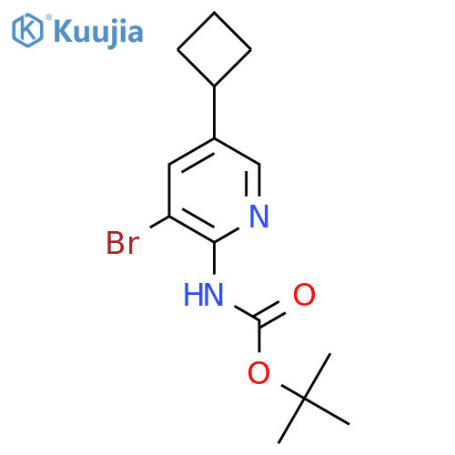 tert-butyl N-(3-bromo-5-cyclobutylpyridin-2-yl)carbamate structure