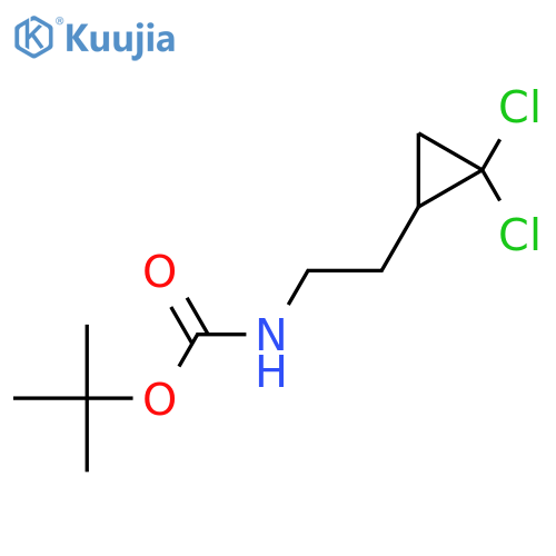 tert-butyl N-[2-(2,2-dichlorocyclopropyl)ethyl]carbamate structure