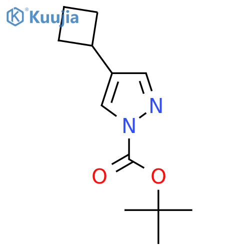 tert-butyl 4-cyclobutyl-1H-pyrazole-1-carboxylate structure